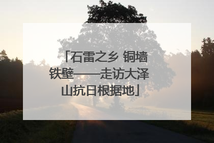 石雷之乡 铜墙铁壁——走访大泽山抗日根据地