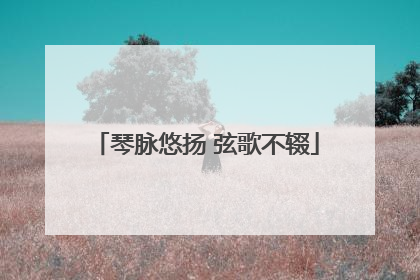 琴脉悠扬 弦歌不辍