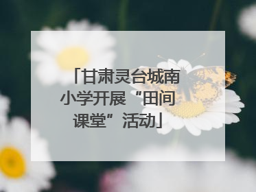 甘肃灵台城南小学开展“田间课堂”活动