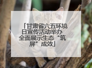 甘肃省六五环境日宣传活动举办 全面展示生态“筑屏”成效