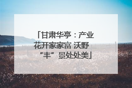 甘肃华亭：产业花开家家富 沃野“丰”景处处美