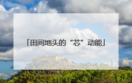 田间地头的“芯”动能
