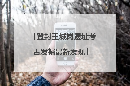 登封王城岗遗址考古发掘最新发现