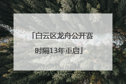 白云区龙舟公开赛时隔13年重启