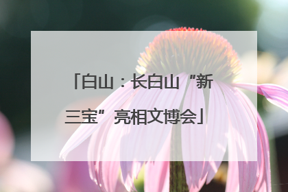白山：长白山“新三宝”亮相文博会