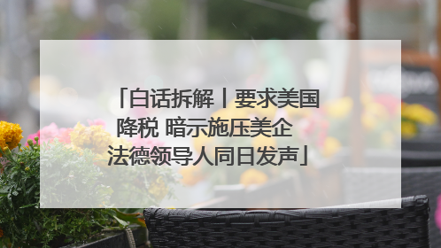 白话拆解丨要求美国降税 暗示施压美企 法德领导人同日发声