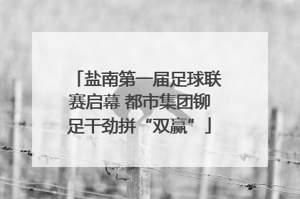 盐南第一届足球联赛启幕 都市集团铆足干劲拼“双赢”