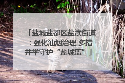盐城盐都区盐渎街道：强化油烟治理 多措并举守护“盐城蓝”