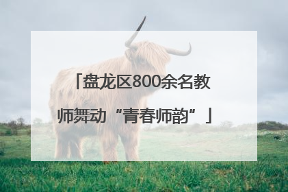 盘龙区800余名教师舞动“青春师韵”