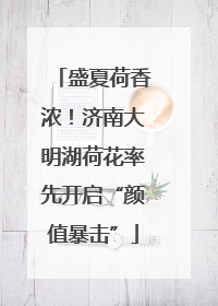 盛夏荷香浓！济南大明湖荷花率先开启“颜值暴击”