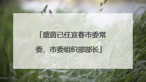 盛茵已任宜春市委常委、市委组织部部长