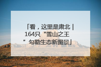 看，这里是肃北｜164只“雪山之王”勾勒生态新图景