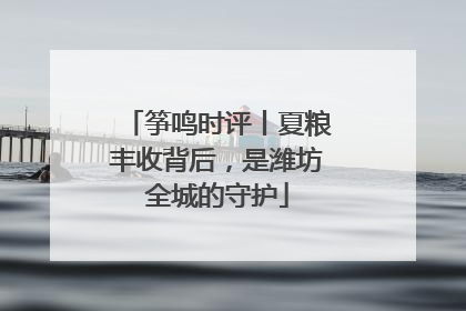 筝鸣时评丨夏粮丰收背后，是潍坊全城的守护