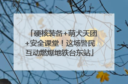 硬核装备+萌犬天团+安全课堂！这场警民互动燃爆地铁台东站