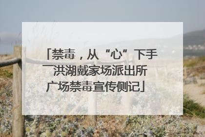 禁毒，从“心”下手――洪湖戴家场派出所广场禁毒宣传侧记