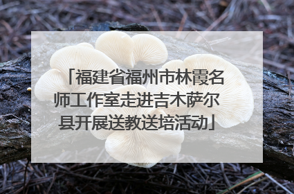 福建省福州市林霞名师工作室走进吉木萨尔县开展送教送培活动