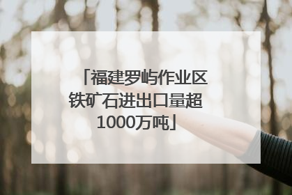 福建罗屿作业区铁矿石进出口量超1000万吨