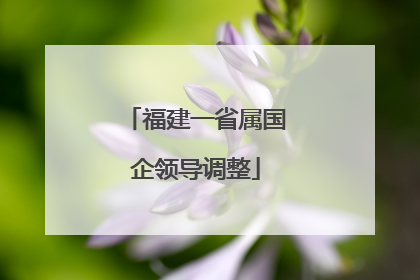 福建一省属国企领导调整
