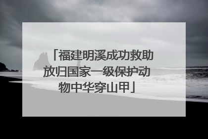 福建明溪成功救助放归国家一级保护动物中华穿山甲