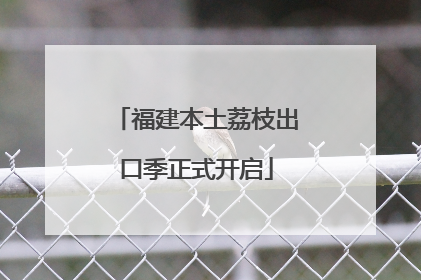 福建本土荔枝出口季正式开启