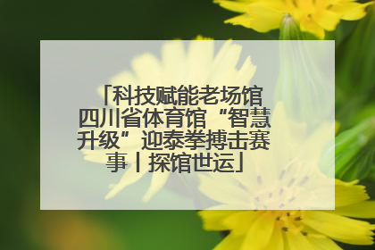 科技赋能老场馆 四川省体育馆“智慧升级”迎泰拳搏击赛事丨探馆世运