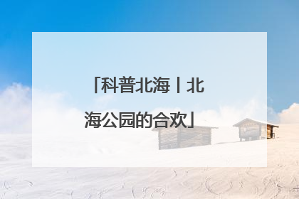 科普北海丨北海公园的合欢