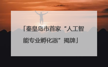 秦皇岛市首家“人工智能专业孵化器”揭牌