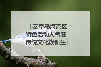 秦皇岛海港区：特色活动人气旺 传统文化焕新生