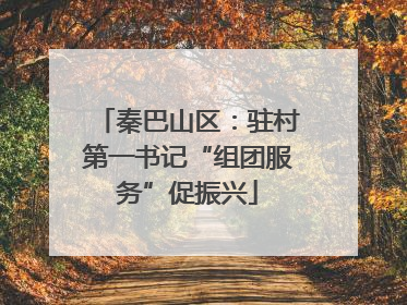 秦巴山区：驻村第一书记“组团服务”促振兴