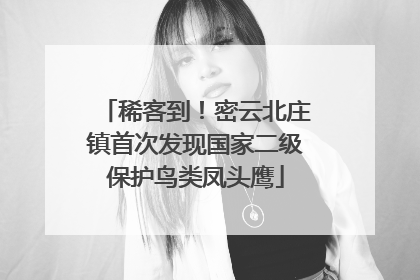 稀客到！密云北庄镇首次发现国家二级保护鸟类凤头鹰