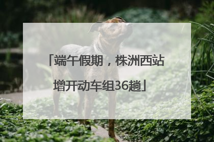 端午假期，株洲西站增开动车组36趟