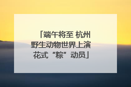 端午将至 杭州野生动物世界上演花式“粽”动员