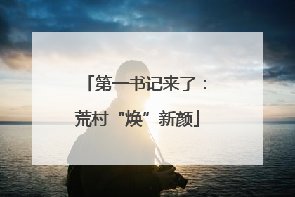 第一书记来了：荒村“焕”新颜