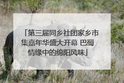 第三届同乡社团家乡市集嘉年华盛大开幕 巴蜀情缘中的绵阳风味