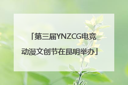 第三届YNZCG电竞动漫文创节在昆明举办