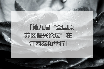 第九届“全国原苏区振兴论坛”在江西泰和举行