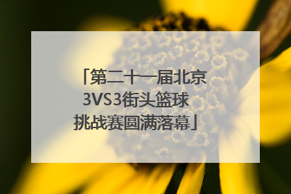 第二十一届北京3VS3街头篮球挑战赛圆满落幕