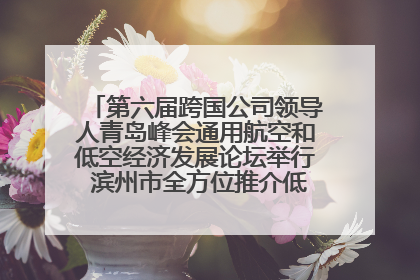第六届跨国公司领导人青岛峰会通用航空和低空经济发展论坛举行 滨州市全方位推介低空经济发展优势