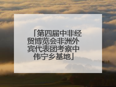 第四届中非经贸博览会非洲外宾代表团考察中伟宁乡基地