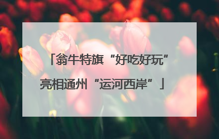翁牛特旗“好吃好玩”亮相通州“运河西岸”
