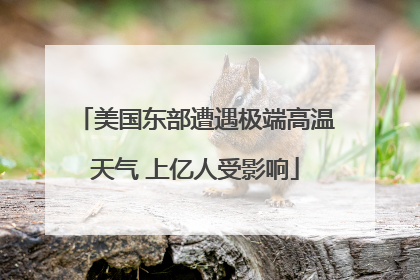 美国东部遭遇极端高温天气 上亿人受影响