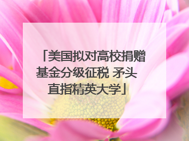 美国拟对高校捐赠基金分级征税 矛头直指精英大学