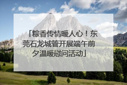 粽香传情暖人心！东莞石龙城管开展端午前夕温暖慰问活动