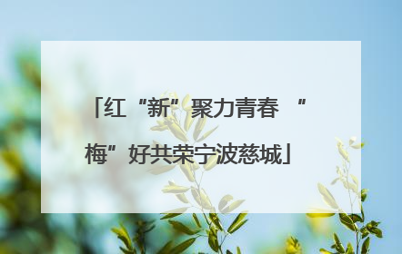 红“新”聚力青春 “梅”好共荣宁波慈城