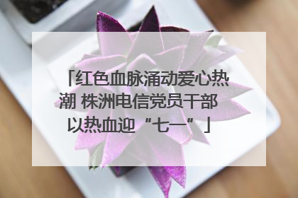 红色血脉涌动爱心热潮 株洲电信党员干部以热血迎“七一”