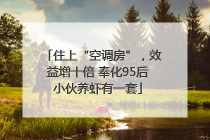 住上“空调房”，效益增十倍 奉化95后小伙养虾有一套