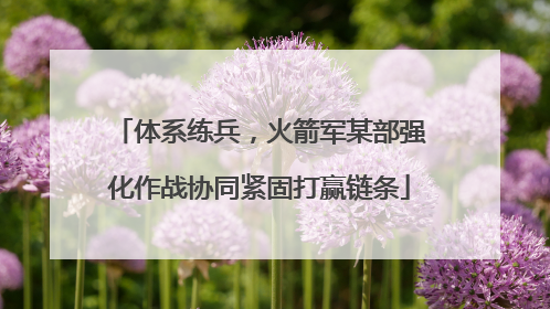体系练兵，火箭军某部强化作战协同紧固打赢链条