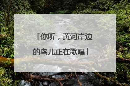你听，黄河岸边的鸟儿正在歌唱