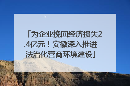 为企业挽回经济损失2.4亿元！安徽深入推进法治化营商环境建设