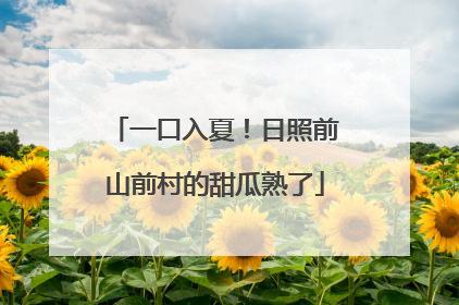 一口入夏！日照前山前村的甜瓜熟了